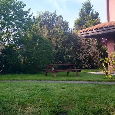 Lovely Cat's Apartment *